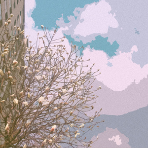 大陆耄耋老太太交性HD
